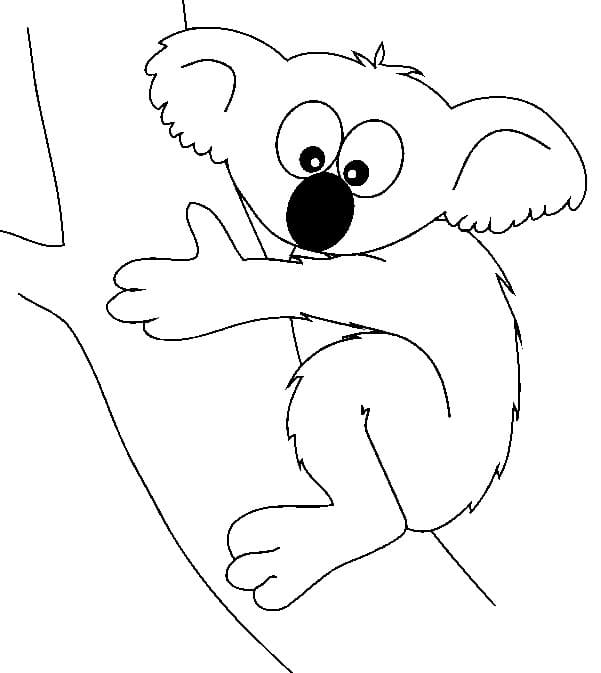 Kolorowanki Narysuj darmowego koala