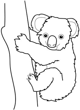 Kolorowanka Dobra Koala
