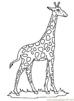 Kolorowanka Dobra żyrafa