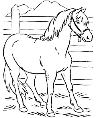 Kolorowanka Koń w Stodole