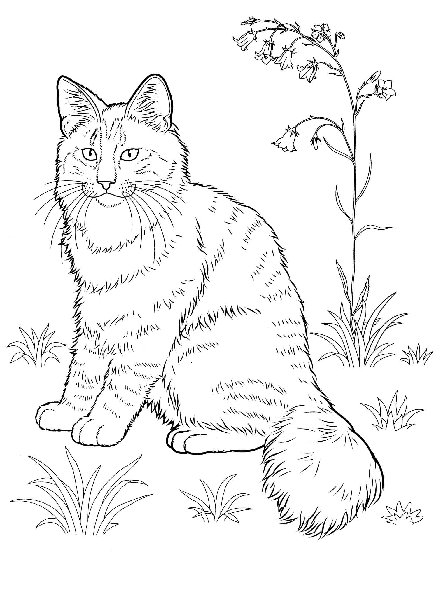 Kolorowanka Kot z Trawą i Kwiatem