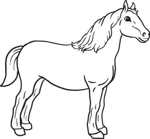 Kolorowanki Ładny Koń