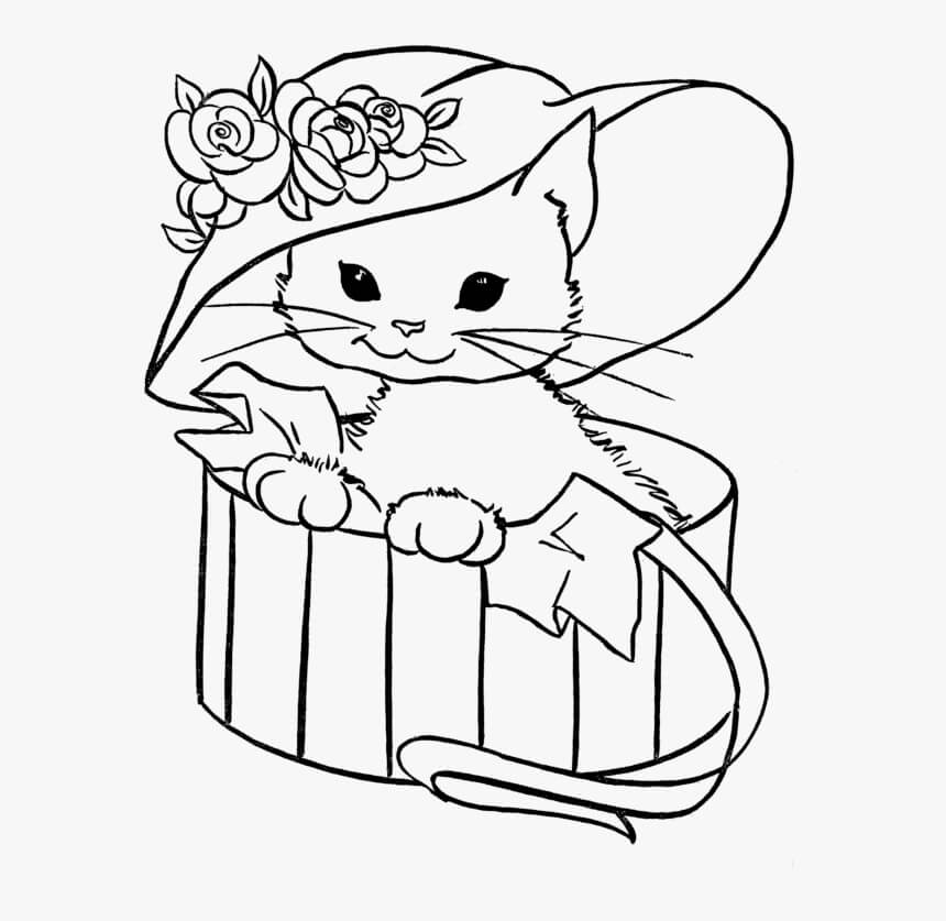 Kolorowanka Mały Kot w Kapeluszu Kwiat w Pudełku