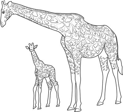 Kolorowanki Matka żyrafa z małą Żyrafa