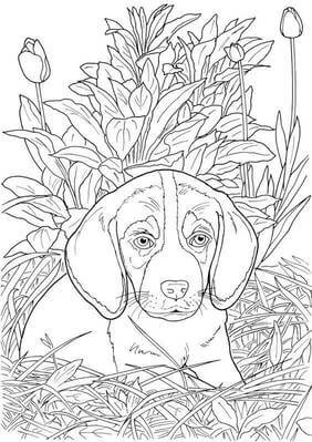 Kolorowanka Pies z Trawą i Kwiatem