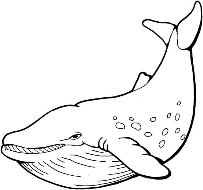 Kolorowanka Prosty Wieloryb