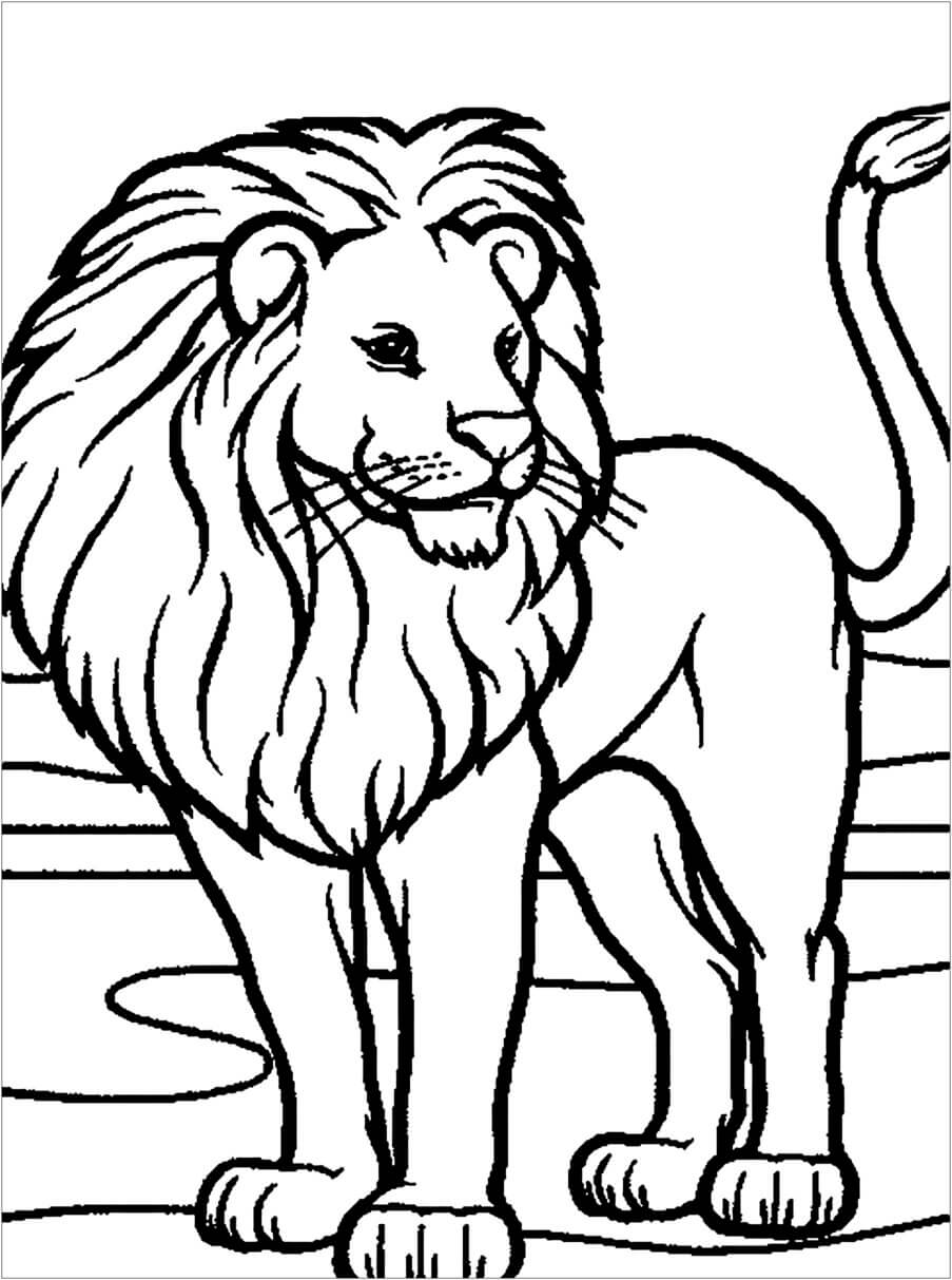 Kolorowanka Ręcznie rysowany Lew