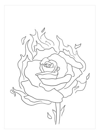 Kolorowanka Róża Wiciokrzewu