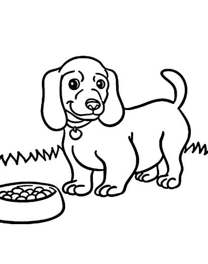 Kolorowanka Rysowanie Psa i Jedzenie