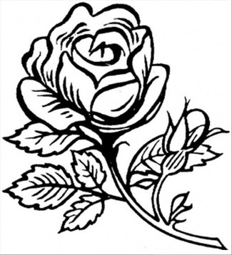 Kolorowanka Rysowanie Róży