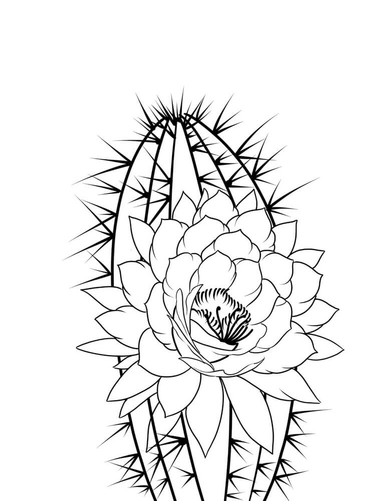 Kolorowanka Tatuaż Kwiatów i Kaktusów
