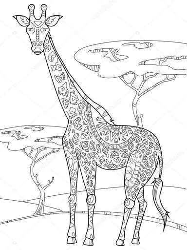 Kolorowanka Żyrafa Stojąca na łące