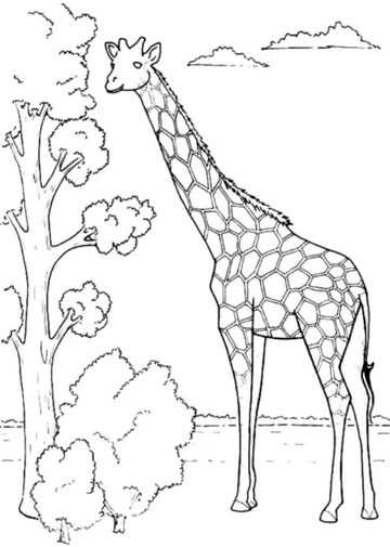 Kolorowanki Żyrafa z Drzewem