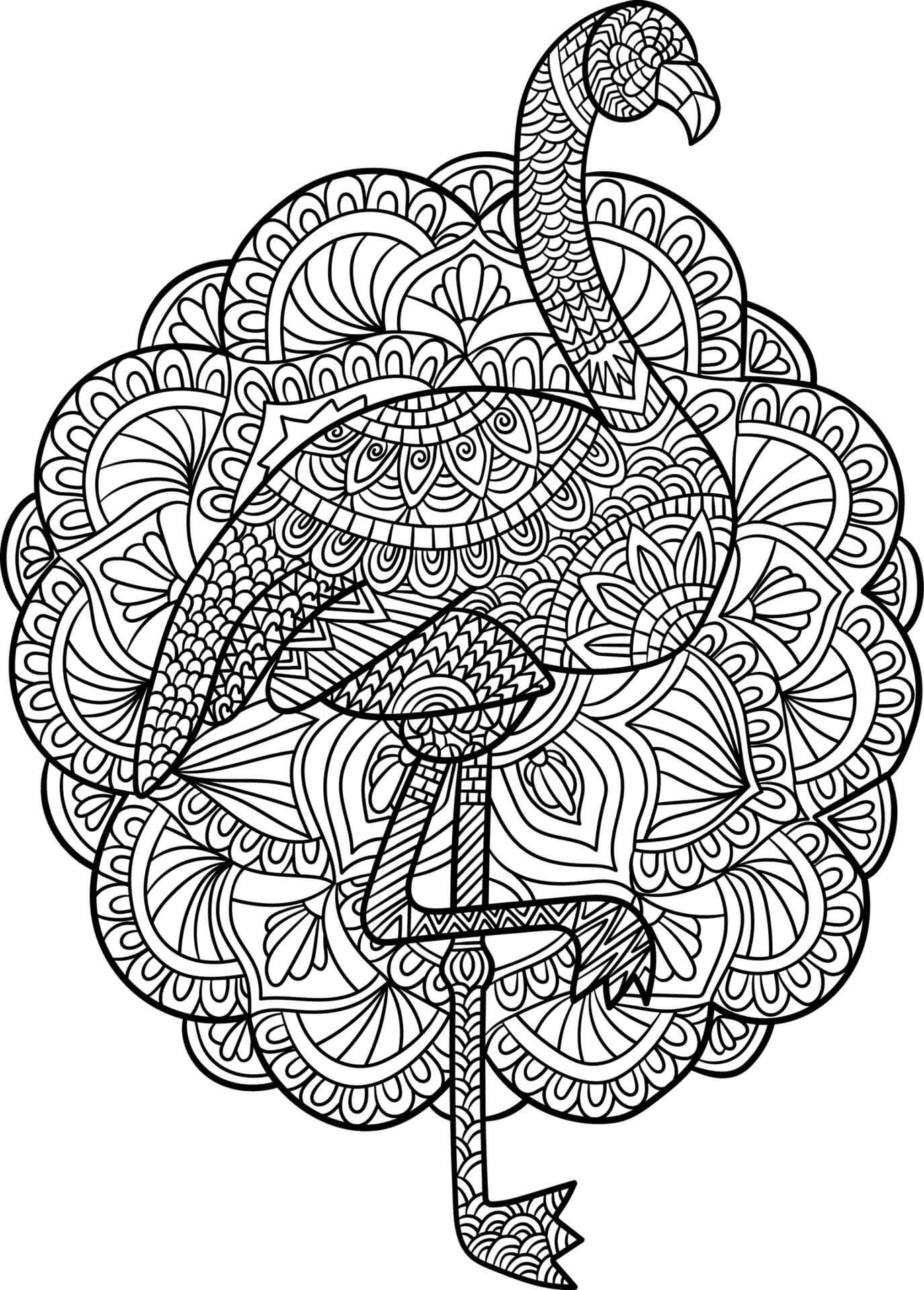 Kolorowanka Podstawowa mandala flaminga