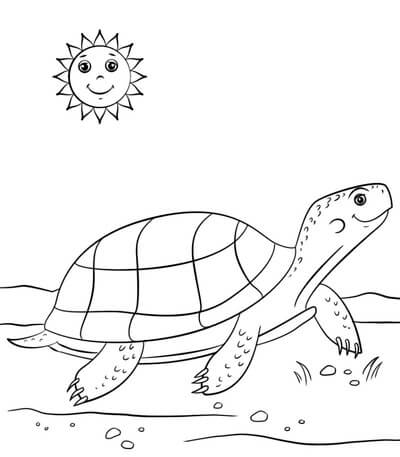 Kolorowanki Animowany żółw i Słońce