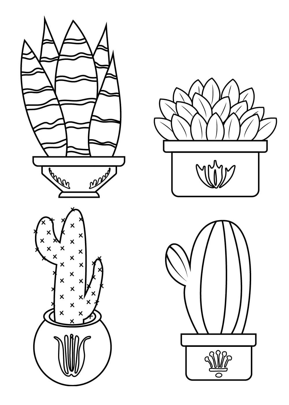 Kolorowanka Cztery Doniczkowe Kaktusy