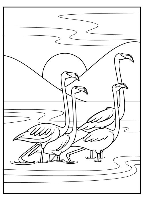 Kolorowanka Cztery Flamingi