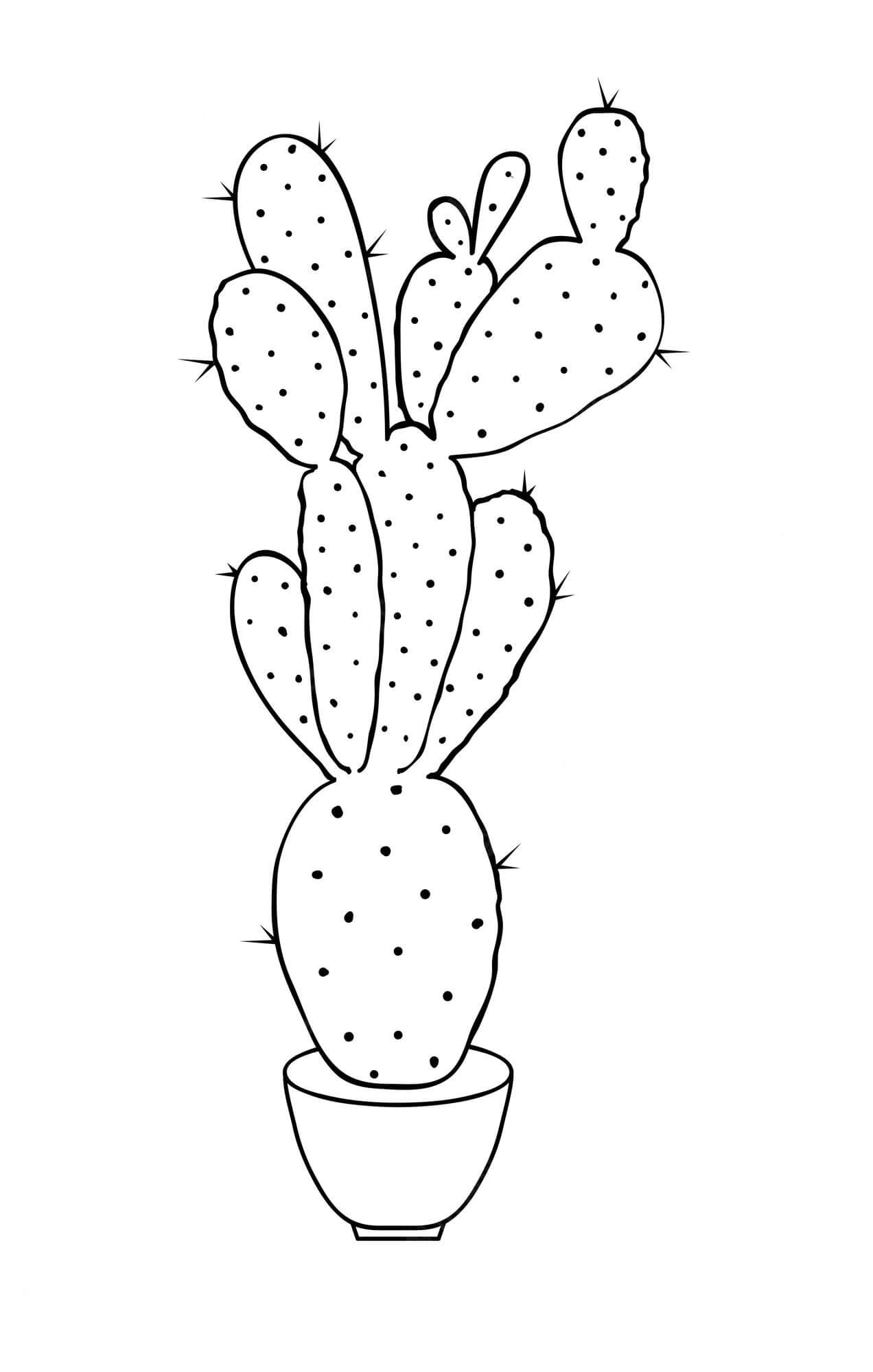 Kolorowanka Darmowe Kaktusy