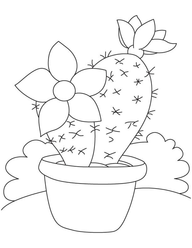Kolorowanka Dobry Doniczkowy Kaktus