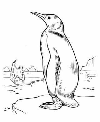Kolorowanka Dobry Pingwin