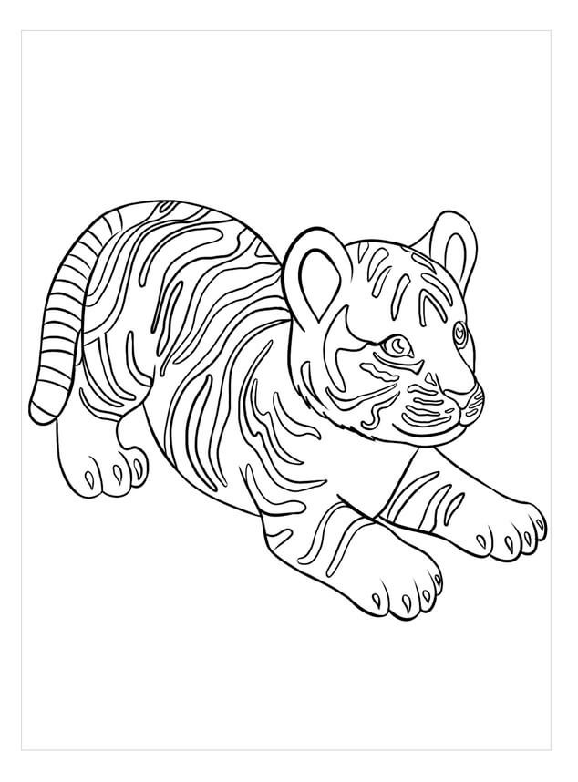 Kolorowanka Doskonały Tygrys