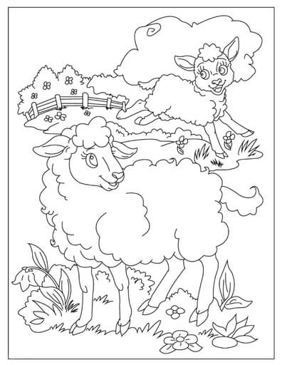 Kolorowanka Dwie śmieszne Owce