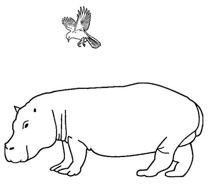 Kolorowanka Hipopotam i Ptak