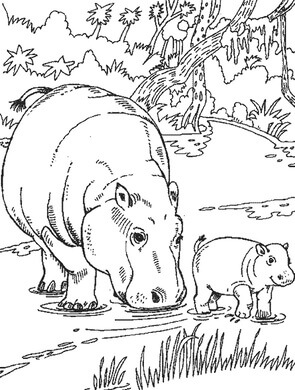 Kolorowanka Hipopotam Matka i Dziecko Hipopotam