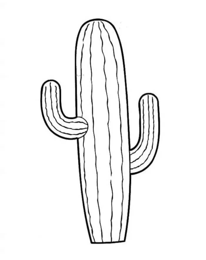 Kolorowanka Kaktus do Druku
