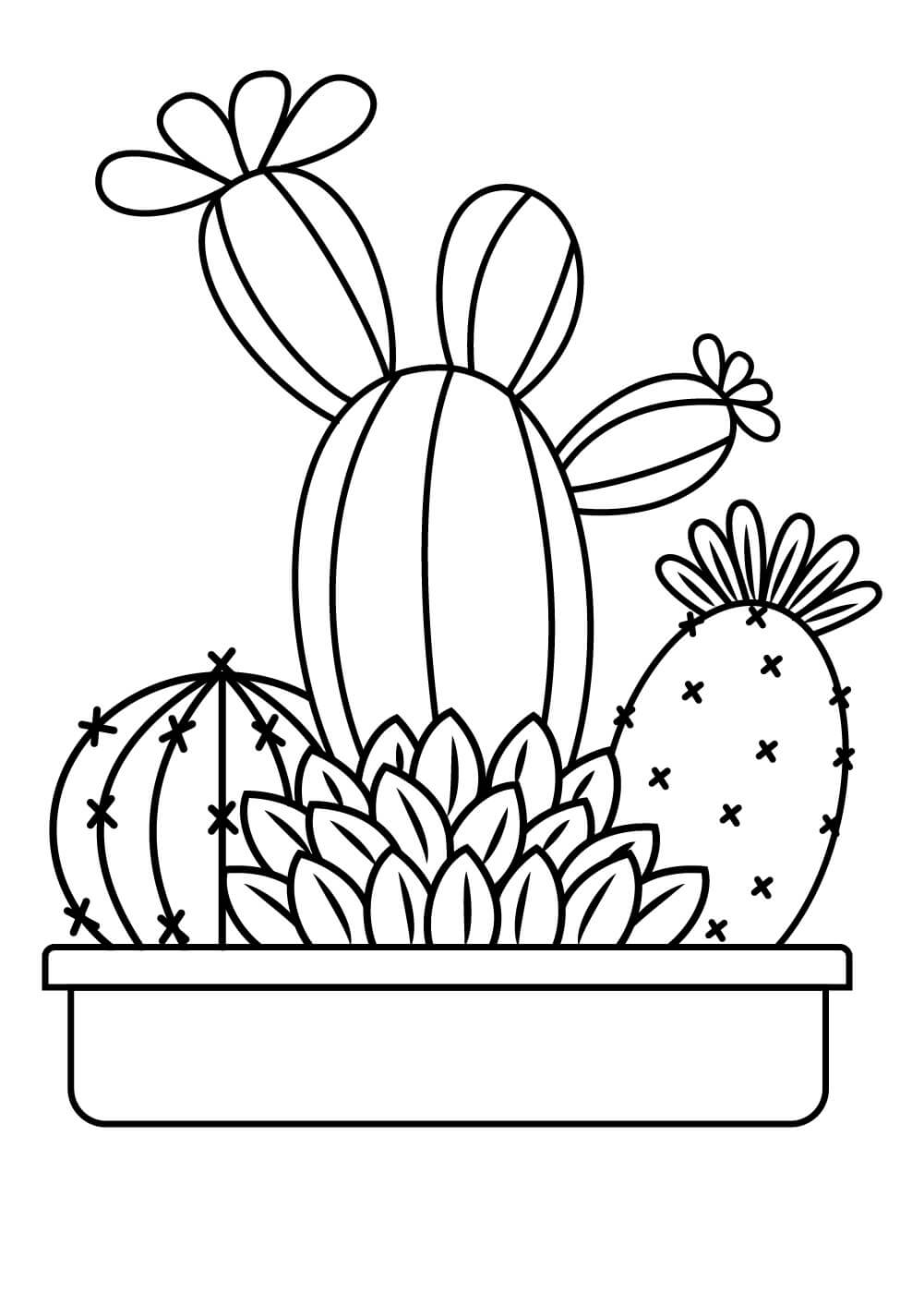 Kolorowanka Kaktus Doniczkowy