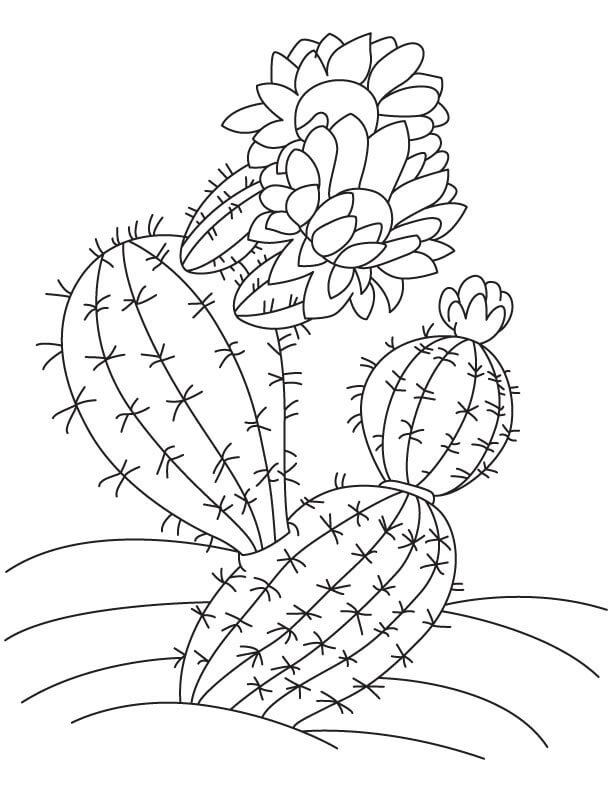 Kolorowanka Kaktus z Kwiatem