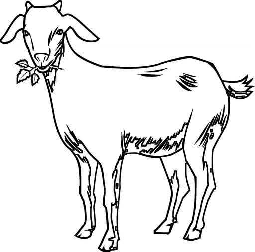 Kolorowanka Koza z Liśćmi