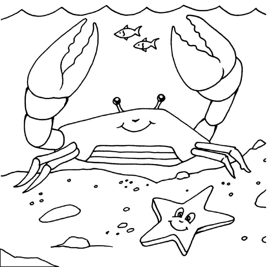 Kolorowanki Krab z Gwiazdą Morską