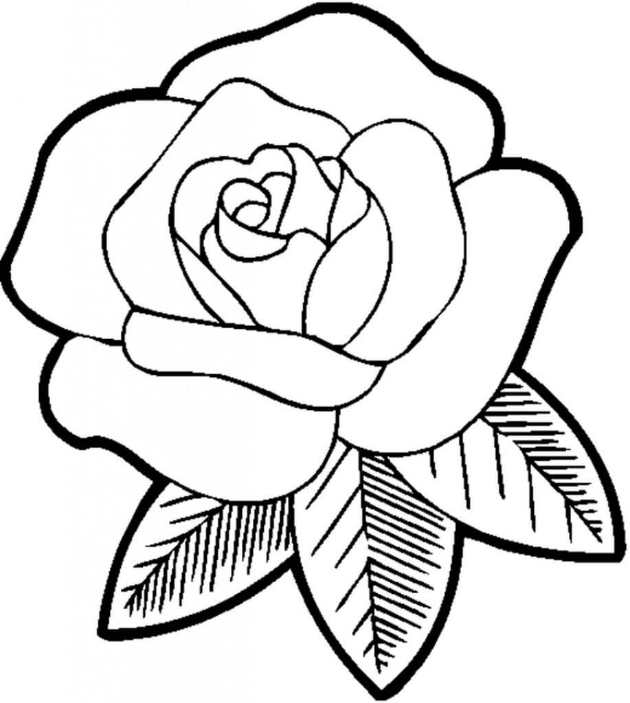 Kolorowanka Kwiat Róży