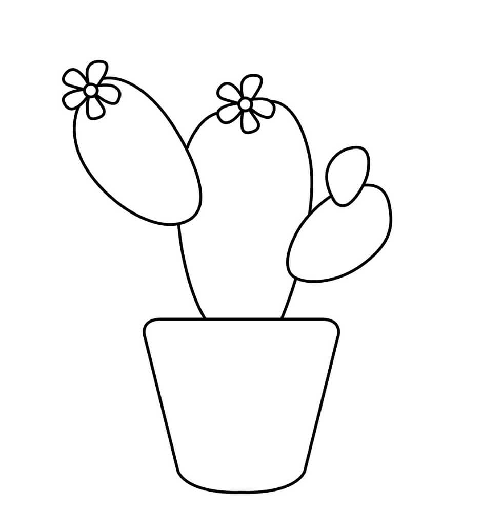 Kolorowanka Easy Cactus