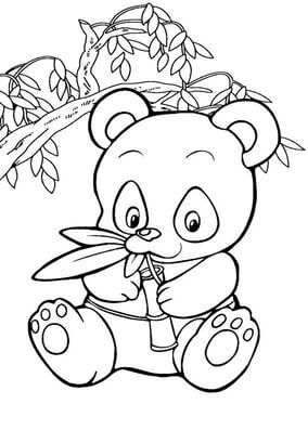 Kolorowanka Mała Panda jedząca Bambus