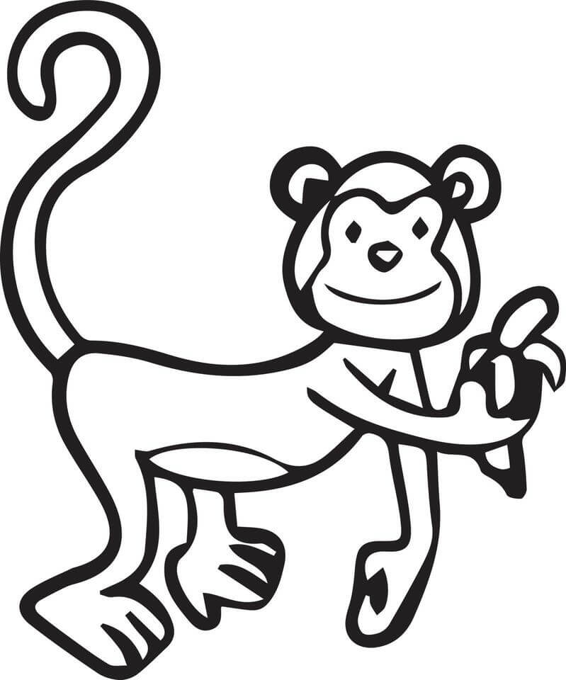 Kolorowanki Małpa do Rysowania Podstawowego