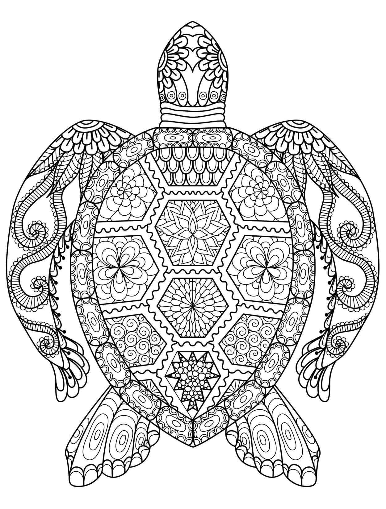 Kolorowanka Turtle Mandalas