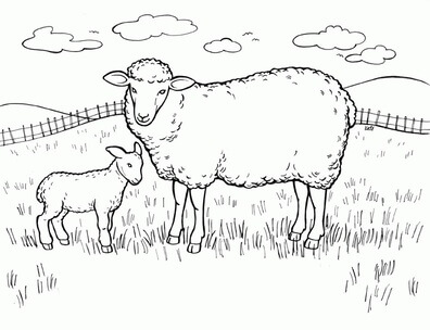 Kolorowanki Matka Owca i Mała Owca