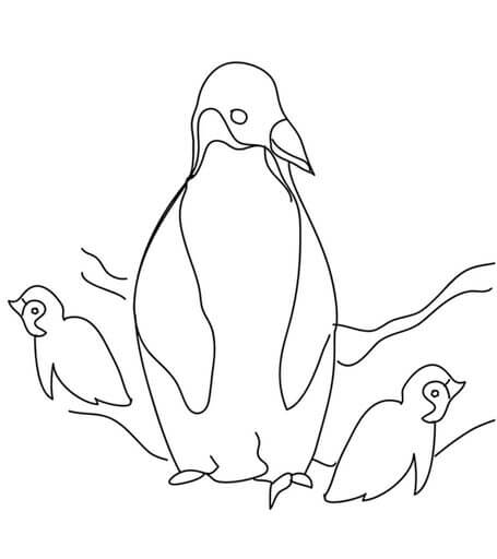 Kolorowanki Matka Pingwin i dwa Małe Pingwiny