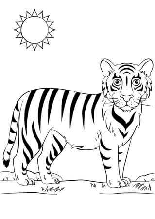 Kolorowanka Miły Tygrys