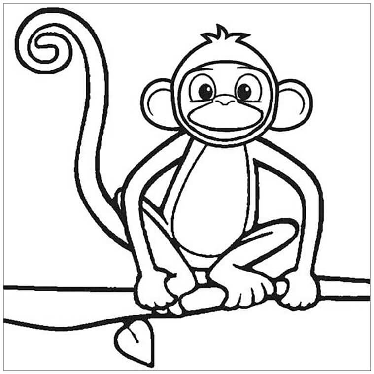 Kolorowanka Narysuj Małpę Siedzącą na Gałęzi Drzewo