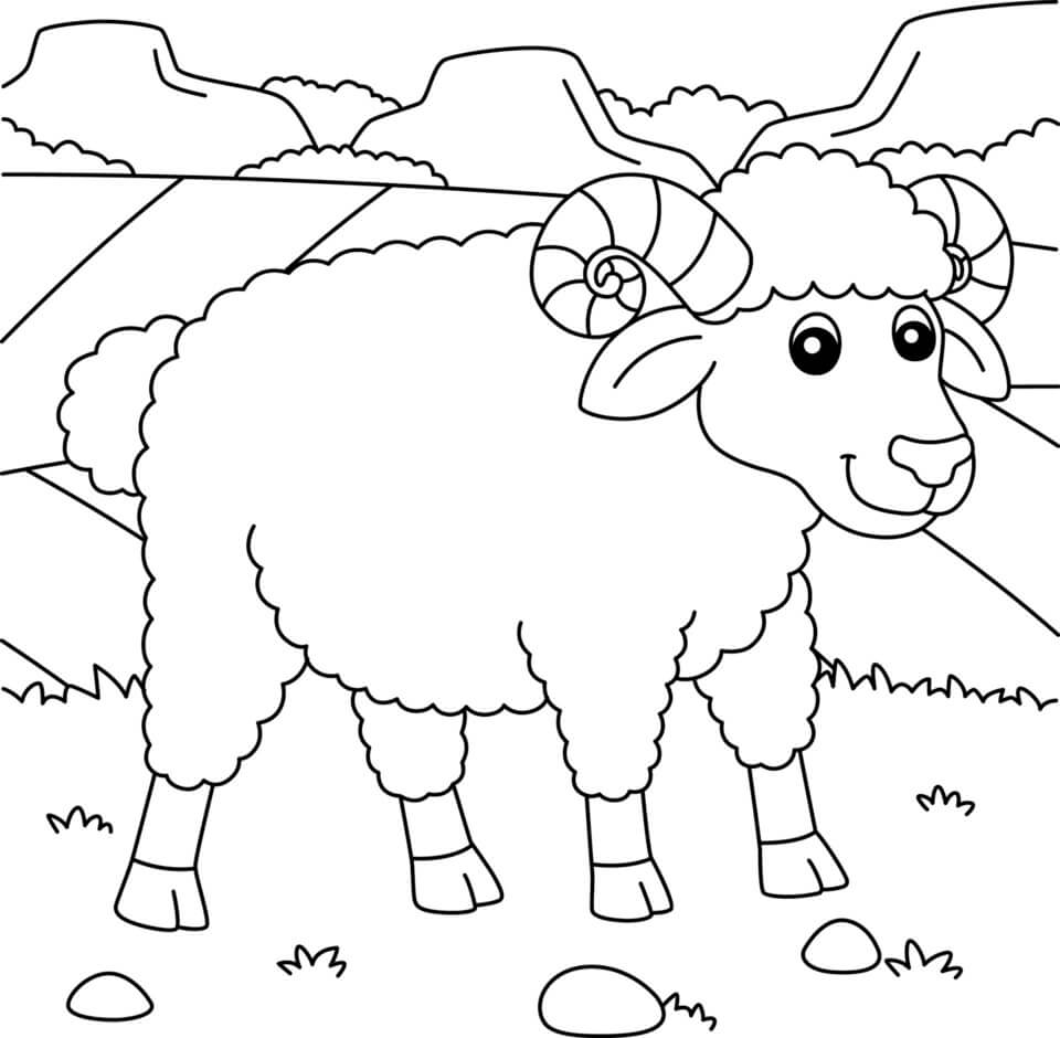 Kolorowanka Niesamowite Owce