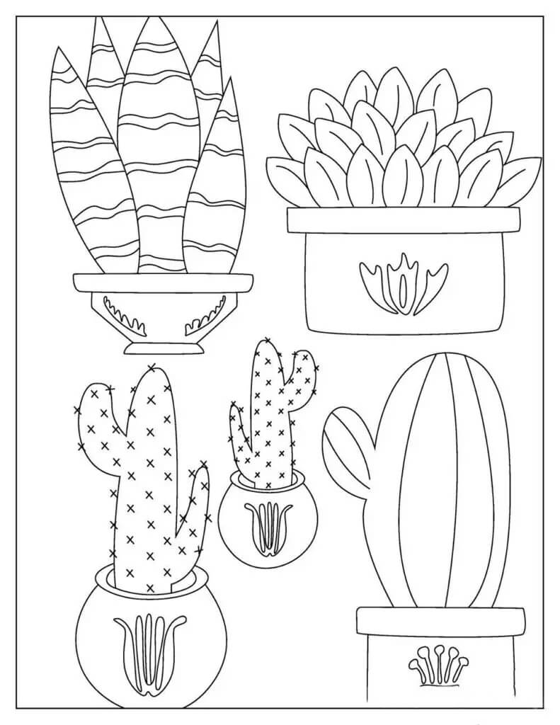 Kolorowanka Pięć Doniczkowych Kaktusów