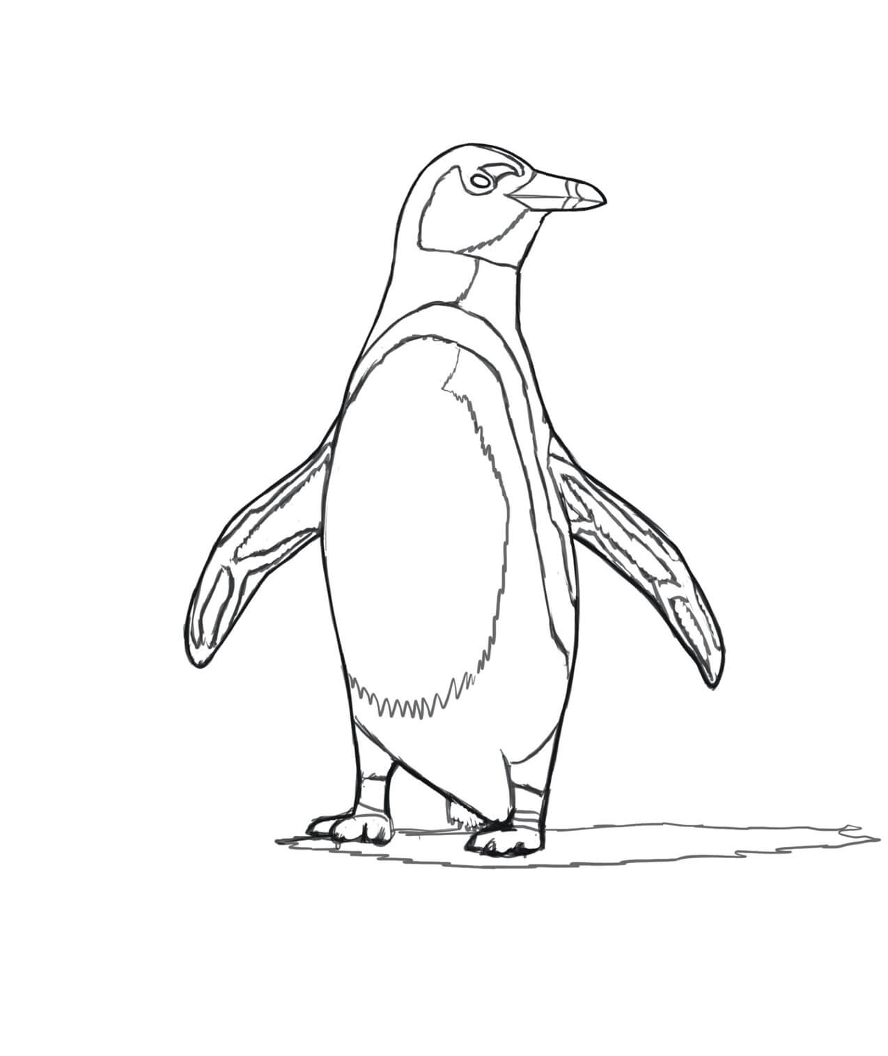 Kolorowanka Pingwin Afrykański