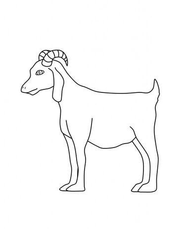 Kolorowanka Podstawowa Koza