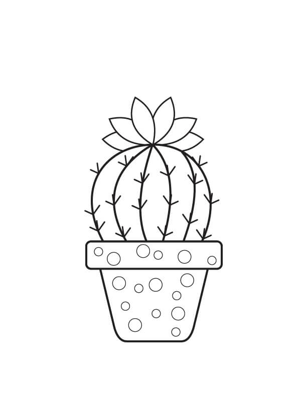 Kolorowanka Podstawowy Kaktus Doniczkowy