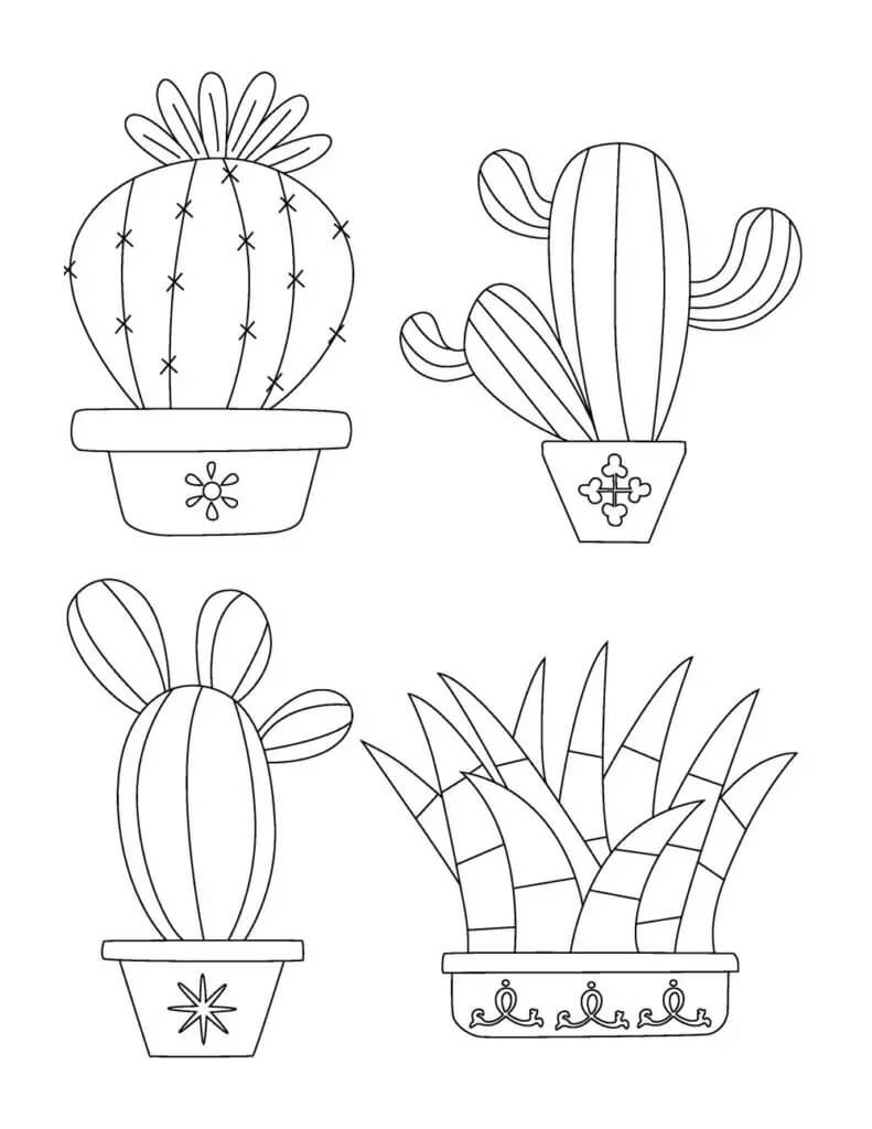 Kolorowanka Podstawowy Kaktus w Czterech Doniczkach