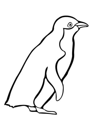 Kolorowanka Podstawowy rysunek Pingwina