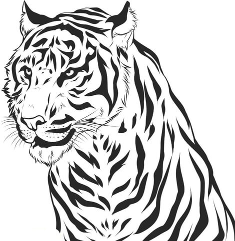Kolorowanka Portrait of the Tiger